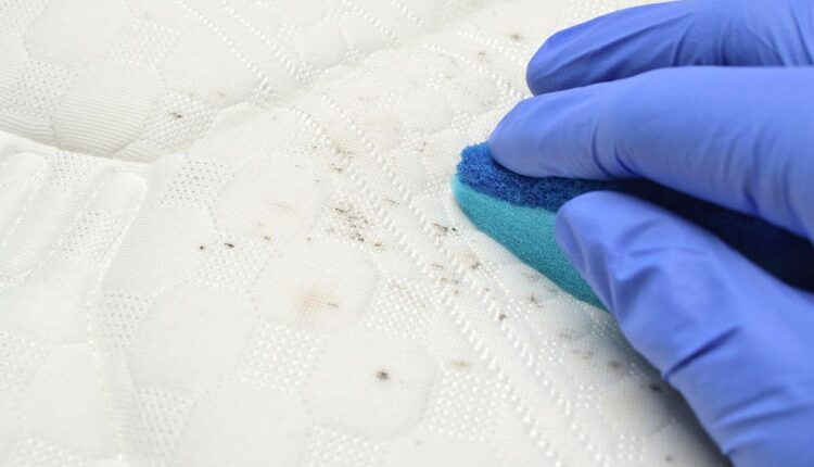 Como remover mancha de base da roupa sem danificar o tecido