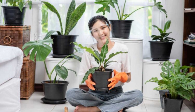 Como consegui que minhas plantas crescessem muito mais rápido em casa