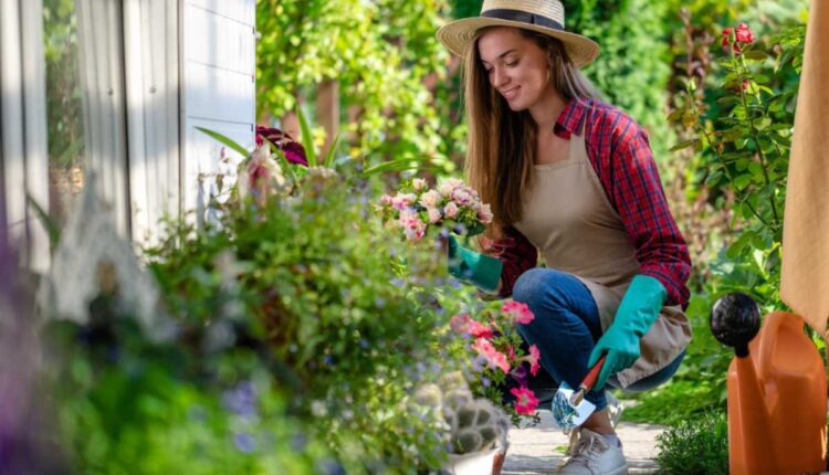 Como deixar seu jardim lindo sem complicação: 7 truques fáceis
