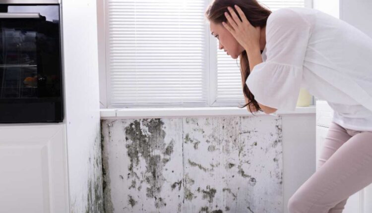 Como evitar o mofo em casa sem estresse no dia a dia
