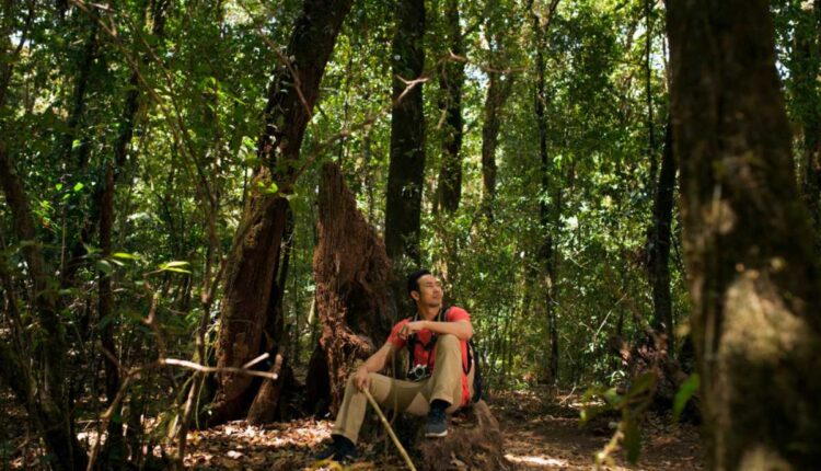 Como o Sebrae está dando voz aos negócios do Baixo Amazonas