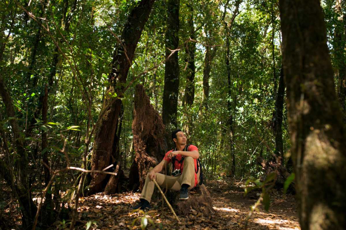 Como o Sebrae está dando voz aos negócios do Baixo Amazonas