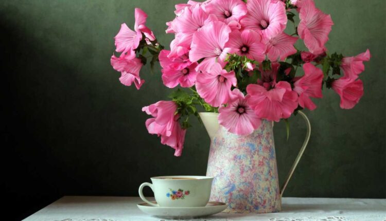 Como recuperar flores murchas e deixá-las lindas de novo em casa