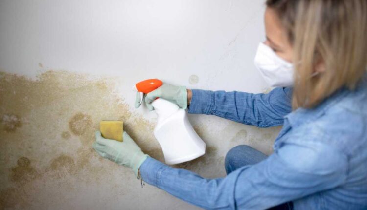 Como tirar sujeira das paredes sem manchar a pintura