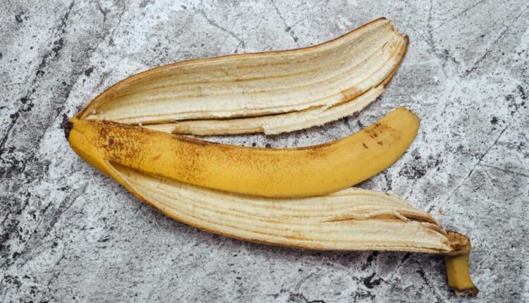 Descubra como a casca de banana pode salvar suas plantas em casa