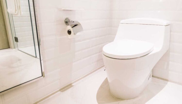 O que usei na privada para o banheiro ficar sempre cheirosinho